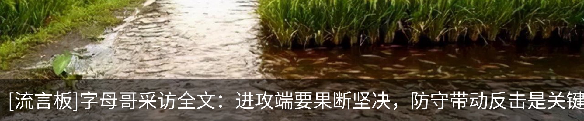 行业资讯